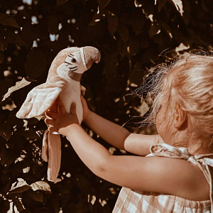 Говорящий попугай Mrs. Ertha "Pierre Nude", персиковая пудра, 23 см